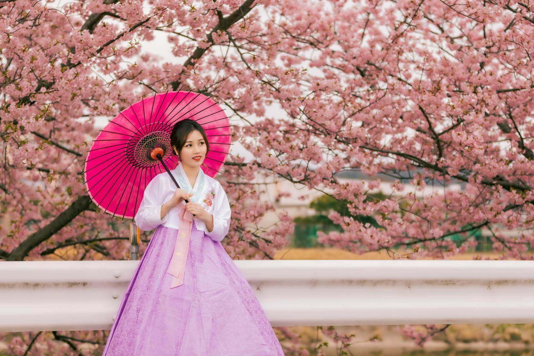 Introducing the Hanbok Wear To Go